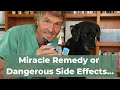 The Hidden Benefits of Colloidal Silver For Pets - Surprising New Findings!