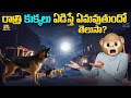 రాత్రి కుక్కలు ఏడిస్తే ఏమవుతుందో తెల