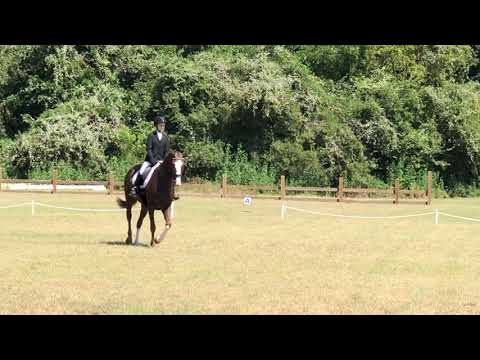 Somestarsomewhere & Katherine Walling