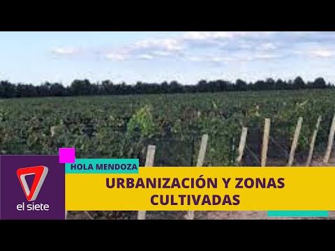 👉INFORME ESPECIAL: PRESERVAR el CINTURÓN VERDE