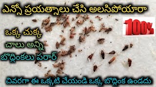 ఇన్ని రోజులు పడ్డ కష్టాలన్నీ ఖతం 🪳 ఇక మీద బొద్దింకల బెడద ఉండదు//how to get rid of cockroach in 1 day