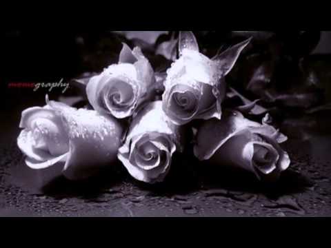 Wassane -Amarasiri Peris