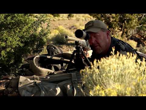 Trijicon Tip — Variable Power Scopes Part 1