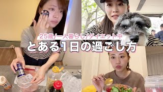 【1日密着vlog】朝の準備、ダイエット中の食事、友達とのランチ、ワンコとお散歩など🐕‍🦺リアルな1日の過ごし方🌼【25歳| 1人暮らし| ダイエット中】
