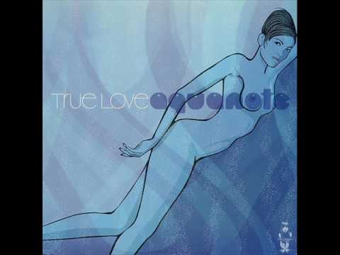 Aquanote  -  True Love (Mig's Petalpusher Love Dub)