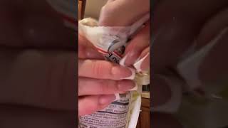 Pickle 🥒 #shortvideo #trending #tiktokvideo