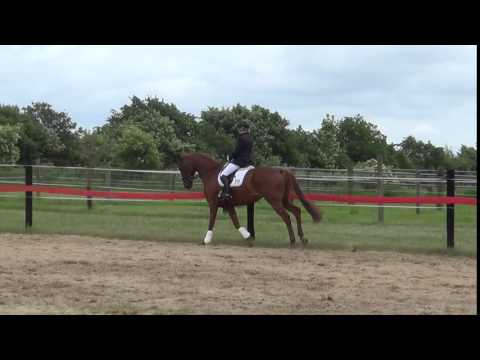 La Viva 2014 Abreiten Rantrum