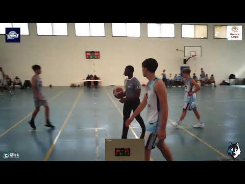 JUNIOR  MASCULINO AUTONOMICO : CB 7 Palmas  - CB La Villa de Teguise