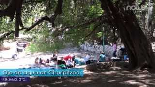 preview picture of video 'Ojo de agua en Churipitzeo'