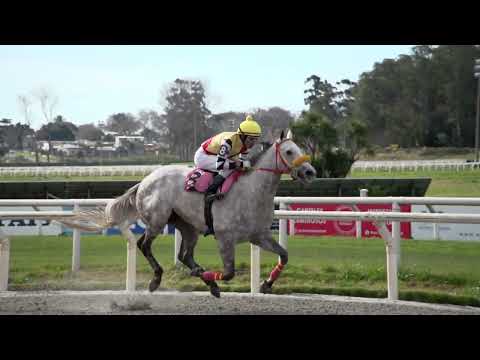 230813 c01 RAY HOLLANDPOS