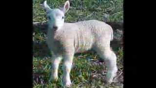 HAVE YOU EVER BEEN MISTREATED.wmv