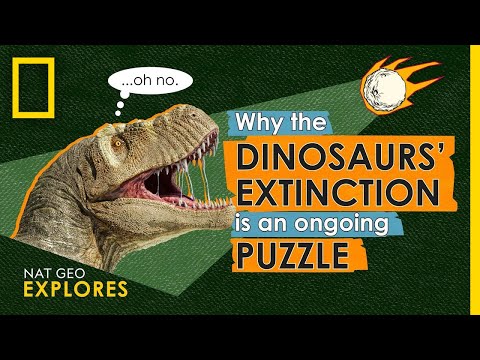 為什麼恐龍的滅絕是一個持續的謎題|Nat Geo Explores (Why the Dinosaurs’ Extinction is an Ongoing Puzzle | Nat Geo Explores)