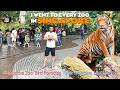 Singapore Zoo Tour River Wonders Bird Paradise Night Safari 2024
