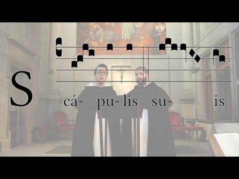 Scapulis suis O.P. (Dominica I in Quadragesima)