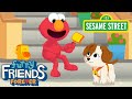 Sesame Street This Is The Way We Take Care Of Tango Song Elmo Puppy Furry Friends Forever