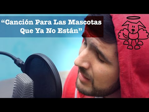 Canción Para Las Mascotas Que Ya No Están - Martín Tremolada