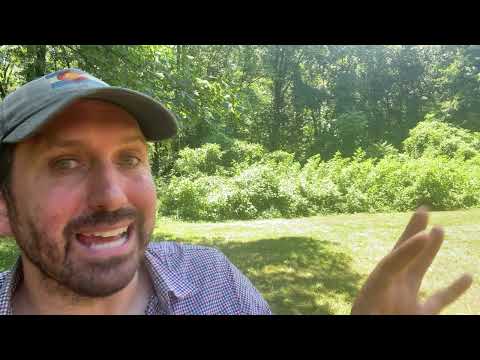 The simplest way to end an affair