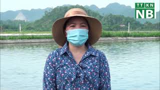 Chăm sóc con nuôi thủy sản mùa nắng nóng