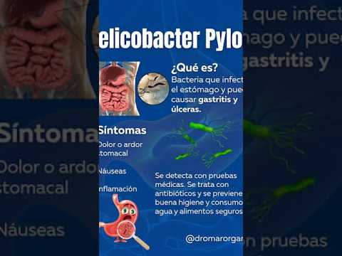 helicobacter pylori