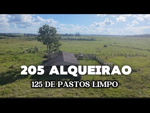 ESSA EA FAZENDA MAIS LINDA DA REGIÃO 😳 Brasil novo no estado do Pará !!