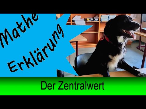 Der Zentralwert