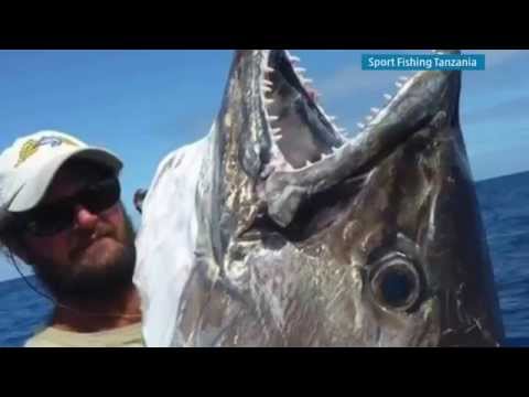 Mystery Catch Almost Breaks Record