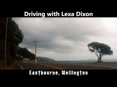 Seaview to Eastbourne | Driving with Lexa Dixon