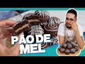 COMO FAZER PÃO DE MEL SUPER FÁCIL E DELICIOSO RECEITA ESPECIAL PRA FAÇA E VENDA