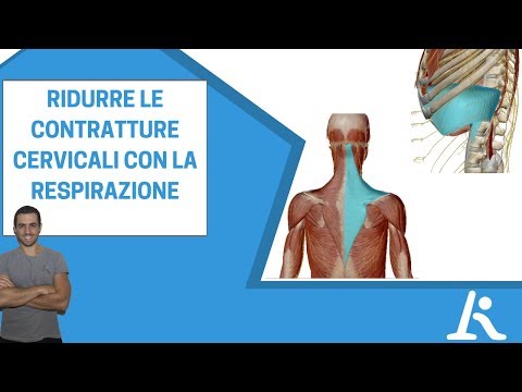 Dolore ai muscoli della schiena di temperatura Alzo la testa mal di collo