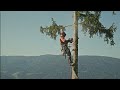 100 Years Of STIHL Here S To 100 More