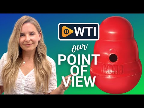 KONG Wobbler - WTI product video review