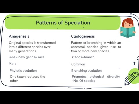 Anagenesis vs Cladogenesis |Patterns of speciation|