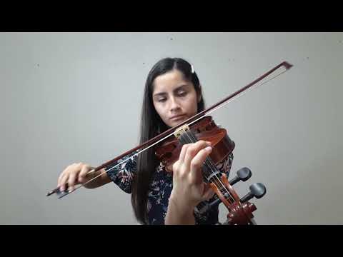 Himno 143 Digno Eres Tú - Instrumental Guitarra y Violín