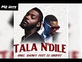 Ariel Sheney Dj Arafat Tala N Dilé