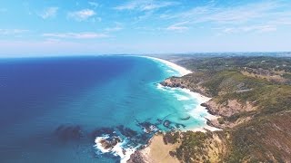 Download lagu CHASING DOLPHINS IN PARADISE // SAM EVANS // WEEKLY VLOG 008 mp3