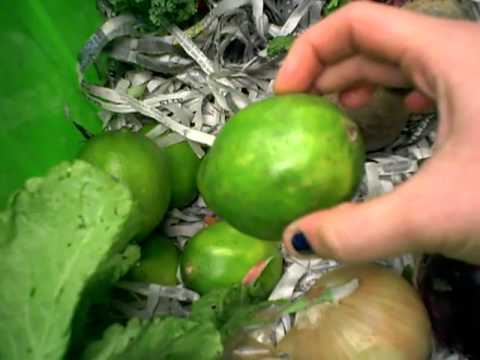 Local Box Video May 2 - 6