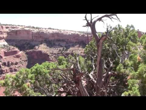 Canyonlands-Schafer Overlook-7.mts