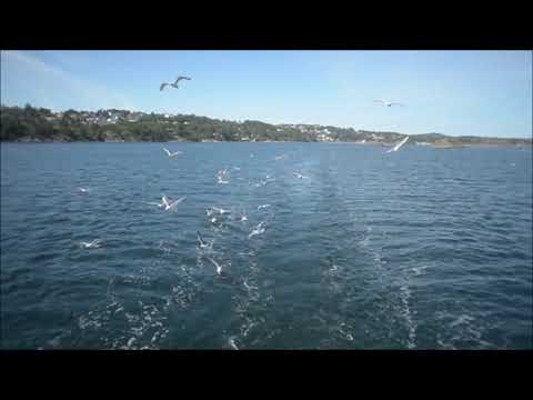 Enrique Granados Twelve Spanish Dances, Op. 37 - II. Oriental