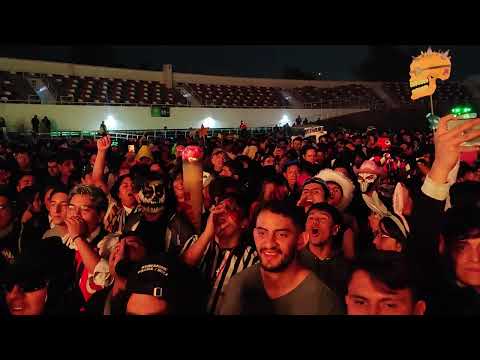 BEAR GRILLZ FULL SET | @ MADHOUSE DIA DE LOS MUERTOS 2025