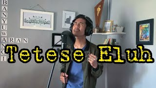 Download lagu TETESE ELUH - Catur Arum // cover Hardi Pria mp3