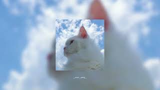 Download lagu Meri Banogi Kya - Sped up mp3 Download lagu Meri Banogi Kya - Sped up mp3