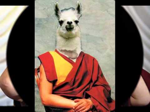 Dali Lama Rant