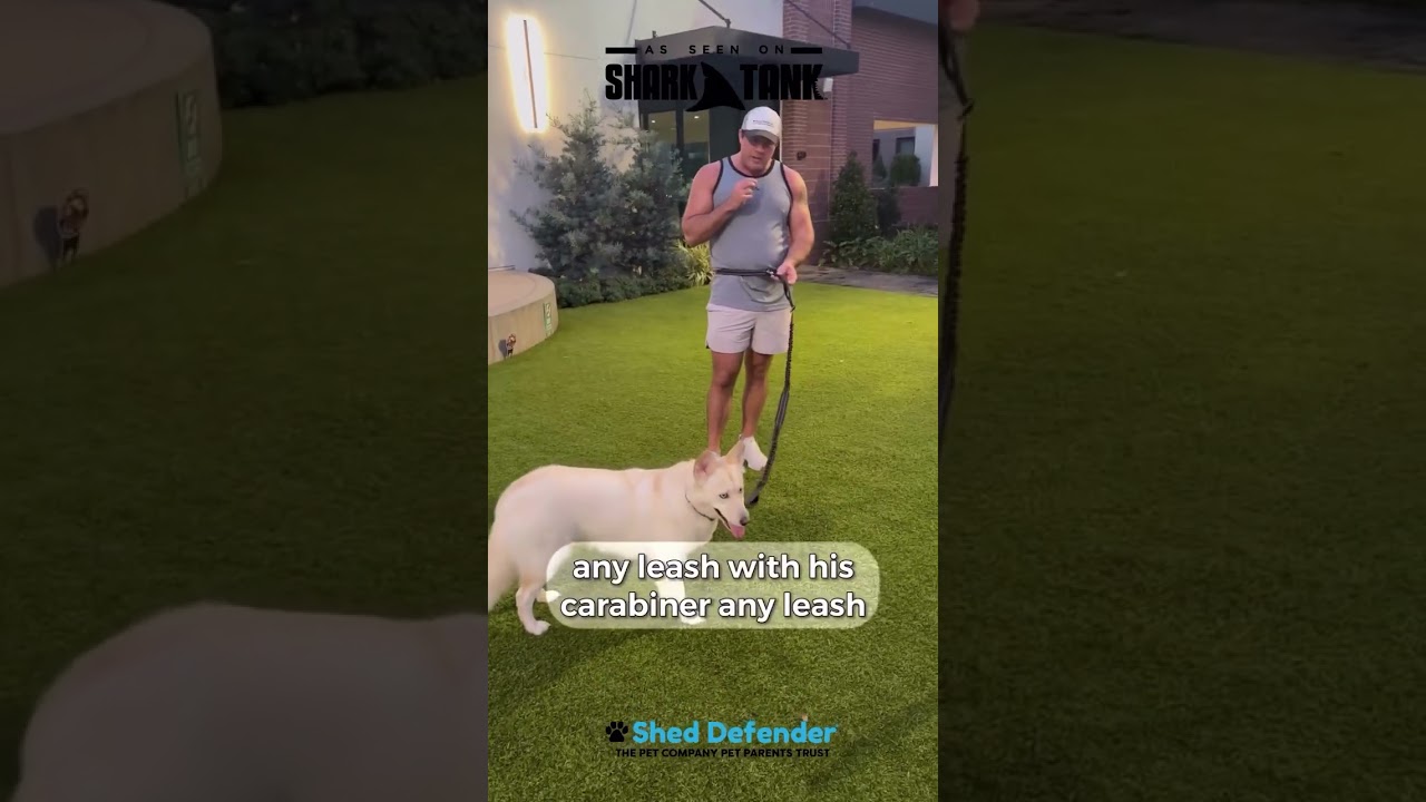 Shed Defender Hands-Free Leash Belt