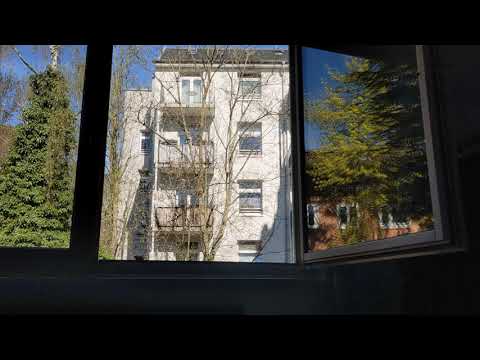 30 minutes of sunday morning peace and bird sounds