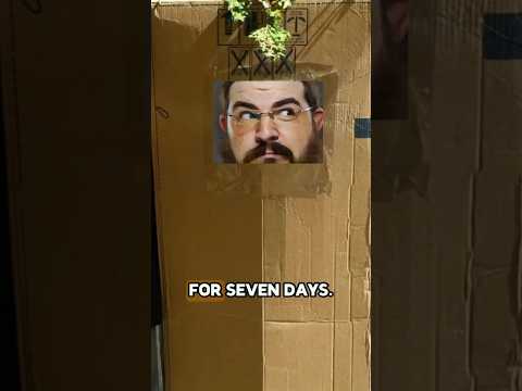Capiche? Kapish? | DSH Day #4