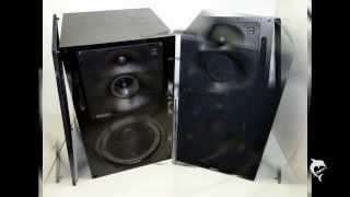 Video thumbnail for Genelec 1037A by Kamatrina Marijo