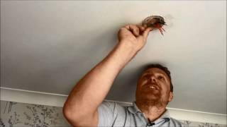 Video: How to Change a Ceiling Rose