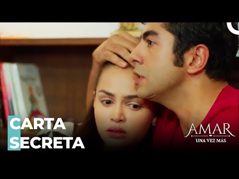 La Solidaridad Emocional Entre Las Hermanas - Amar Una Vez Más