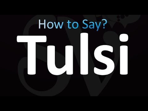 How to Pronounce Tulsi (Correctly!)