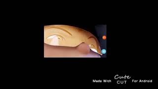 Download lagu animasi ccp boboiboy mp3 Download lagu animasi ccp boboiboy mp3